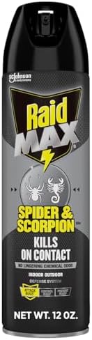 Raid MAX Spider & Scorpion Insect Killer Spray, 12 oz