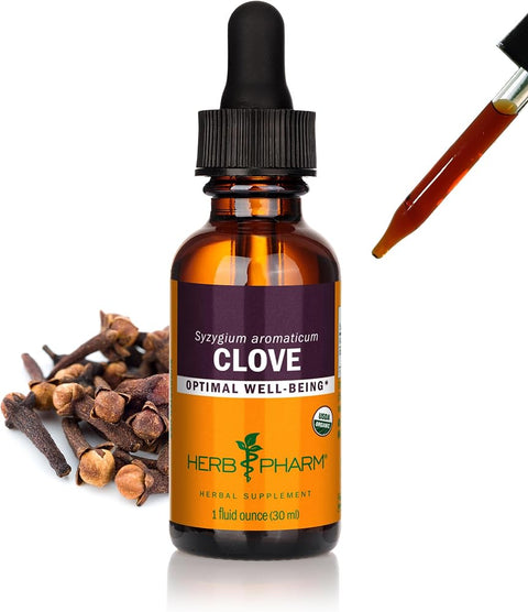 Herb Pharm Clove Liquid Herbal Extract: USDA Organic | Occasional Gas & Indigestion Support | Clove Supplement Made with Ground Cloves | Gluten-Free, Sugar-Free, Vegan, Up to 5 Week Supply, 1 oz*