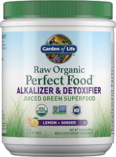 Garden of Life RAW Organic Perfect Food Alkalizer Detoxifier, 30 Servings