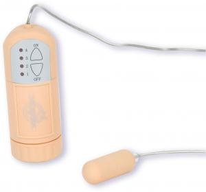 Mini Bullet & Controller Peach
