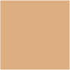 Revlon PhotoReady Candid Natural Finish Foundation, with Anti-Pollution, Antioxidant, Anti - Image 2