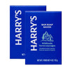 Harry'S Bar Soap for Men - Wildlands Scent - 4 oz - Personal Care - Image 1