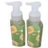 Bath and Body Works Gentle Foaming Hand Soap 8.75 Ounce (Cucumber Melon) - Personal Care