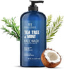 Botanic Hearth Tea Tree Face Wash With Mint - 16 Fl oz - Personal Care - Image 1