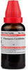 Exportmall Willmar Schwabe Homeopathy Tinospora Cordifolia Mother Tincture Q (30 ML) by Ex - Image 2