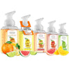 Foaming Hand Soap Pump - 5-PK - Moisturizing Hand Soap Foam with Aloe Vera & Essential Oil - Image 1