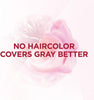 L'Oreal Paris Excellence Creme Hair Color, Medium Golden Brown (Pack of 3) - Personal Care - Image 4