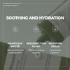 Jmsolution Heart Leaf Sunscreen SPF 50 – Made in USA, Calming UV Protection with Heart Lea - Image 2