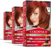Revlon ColorSilk with Bond Repair Hair Color, 42 Medium Auburn, 3pk - Personal Care - Image 1