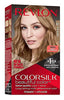 Revlon ColorSilk Beautiful Color, Dark Blonde [61], 1 Count - Image 4