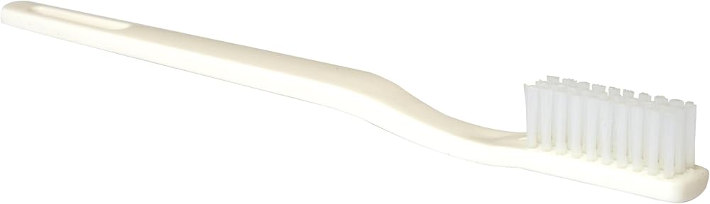 Box 24 Disposable Toothbrushes - Individually Wrapped