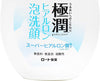 Hada Labo Rohto Gokujyn Hyaluronic Acid Cleansing Foam, 160ml - Personal Care - Image 3