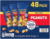 Planters Nuts on the Go Salted Peanuts, 1 oz single-serve bags, 48-Count - Personal Care - Image 1