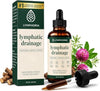 LYMPHORIA Lymphatic Drainage Drops for Bloat Relief & De-Puff – Cleavers, Red Clover, Stil - Image 1
