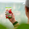 PROBAR - Bolt Organic Energy Chews, Raspberry, Non-GMO, Gluten-Free, USDA Certified Organi - Image 4