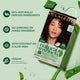 Clairol Natural Instincts Hair Color, Medium Cool Brown [5A] 1 ea ( Pack of 2)