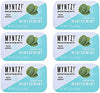 Myntz Blast Breathmints, Sugar Free 1.75-Ounce Containers (Wintermynt, 12 Pack) - Image 1