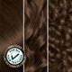 Garnier Nutrisse Nourishing Creme, Permanent Hair Dye - Dark Golden Brown (Cocoa Bean) - 1 Count (43)