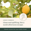 Sof Lemon Verbena Moisturizing Bar Soap, Coconut Oil & Shea Butter - Personal Care - Image 4