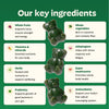 Gruns Adult Greens Gummies & Daily Multivitamin, Prebiotic Fiber, 28 ct - Image 4