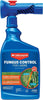 BioAdvanced Fungus Control for Lawns - 32 fl oz Bottle - Image 1