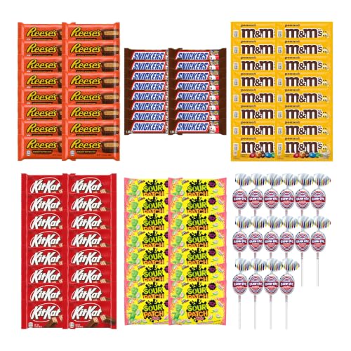 Big TOP DEALS USA 96 Piece Candy Variety Pack with 16 Reese's Cups, 16 Snickers, 16 M&M's Peanut, 16 Kit Kat, 16 Sour Patch Kids Watermelon and 16 Blow Pops - Individually Wrapped Gift Bundle