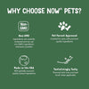 NOW Pet Health, L-Lysine Supplement, Powder, For Cats, 8-Ounce - Image 5
