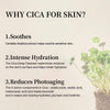 Mixsoon Soondy Centella Asiatica Essence-Soothing and Calming for Face, Jeju Island Cica E - Image 2