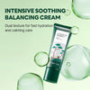 Round LAB Pine Cica Calming Cream Plus 60ml - Personal Care - Image 2
