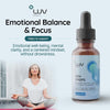 LUV Zen Drops: Anxiety and Stress Support Drops with Magnesium Glycinate, Vitamin D3, Lemo - Image 4
