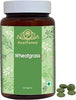 Wheatgrass Tablets 500 mg | 120 Count | Wheat Grass Herbal Supplement