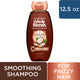 Garnier Whole Blends Smoothing Shampoo Coconut Oil, 12.5 Ounce (369ml), 2 Pack - 24 Hour Frizz Control, Gentle for Everyday Use