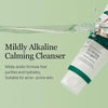 Round LAB Pine Calming Cica Cleanser 5.07 Fl Oz - Personal Care - Image 2
