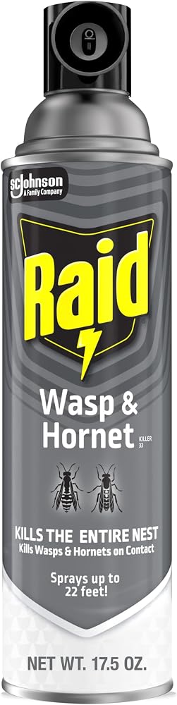 Raid Wasp and Hornet Killer, 17.5 OZ (Pack - 1)