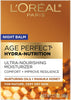 L'Oreal Paris Skincare Age Perfect Hydra Nutrition Ultra Nourishing Honey Night Balm, Face - Image 1