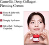 Round LAB Camellia Deep Collagen Firming Cream 1.69 Fl Oz - Personal Care - Image 3