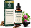 LYMPHORIA Lymphatic Drainage Drops for Bloat Relief & De-Puff – Cleavers, Red Clover, Stil - Image 2