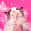 Bonkers Purrpops Lollipop Cat Treats Freeze Dried Chicken & Catnip 18 Pack - Image 5