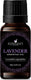 Handcraft Blends Patchouli Essential Oil 100% Pure Natural Aromatherapy