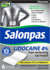 Salonpas Lidocaine 4% Pain Relieving Gel-Patch, 6 Count (Pack of 1) - Personal Care - Image 1