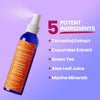 Seoulceuticals Korean Skin Care Essence Toner Face Mist Spray K Beauty - Personal Care - Image 3