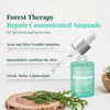 Hydrating Korean Serum with Centella Asiatica & Hyaluronic Acid Serum | Barrier Repair Amp - Image 2
