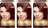 L'Oreal Paris Superior Preference Fade-Defying + Shine Permanent Hair Color, 4R Dark Auburn, Pack of 3, Hair Dye - Personal Care