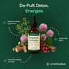 LYMPHORIA Lymphatic Drainage Drops for Bloat Relief & De-Puff – Cleavers, Red Clover, Stil - Image 3
