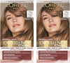 L'Oreal Paris Healthy Look Creme Gloss 3 Darkest Brown Espresso - Personal Care - Image 3