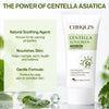 Centella Sunscreen SPF 50+ - Lightweight Sunscreen Korean, Non-Sticky Face & Body Sun Prot - Image 4