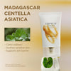 Skin1004 Centella Soothing Cream, Face Moisturizer with Centella Asiatica, Korean Centella - Image 3