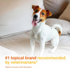 Douxo S3 PYO Pads, 3% Chlorhexidine Wipes for Dogs and Cats, 30 Pads - Image 4