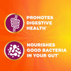 Metamucil Fiber Gummies for Adults, No Sugar Added Orange Flavor, 5g Prebiotic Plant Based - Image 5