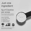 Sports Research® Creatine Monohydrate Powder 5g, Unflavored (100 Servings) - Personal Care - Image 3